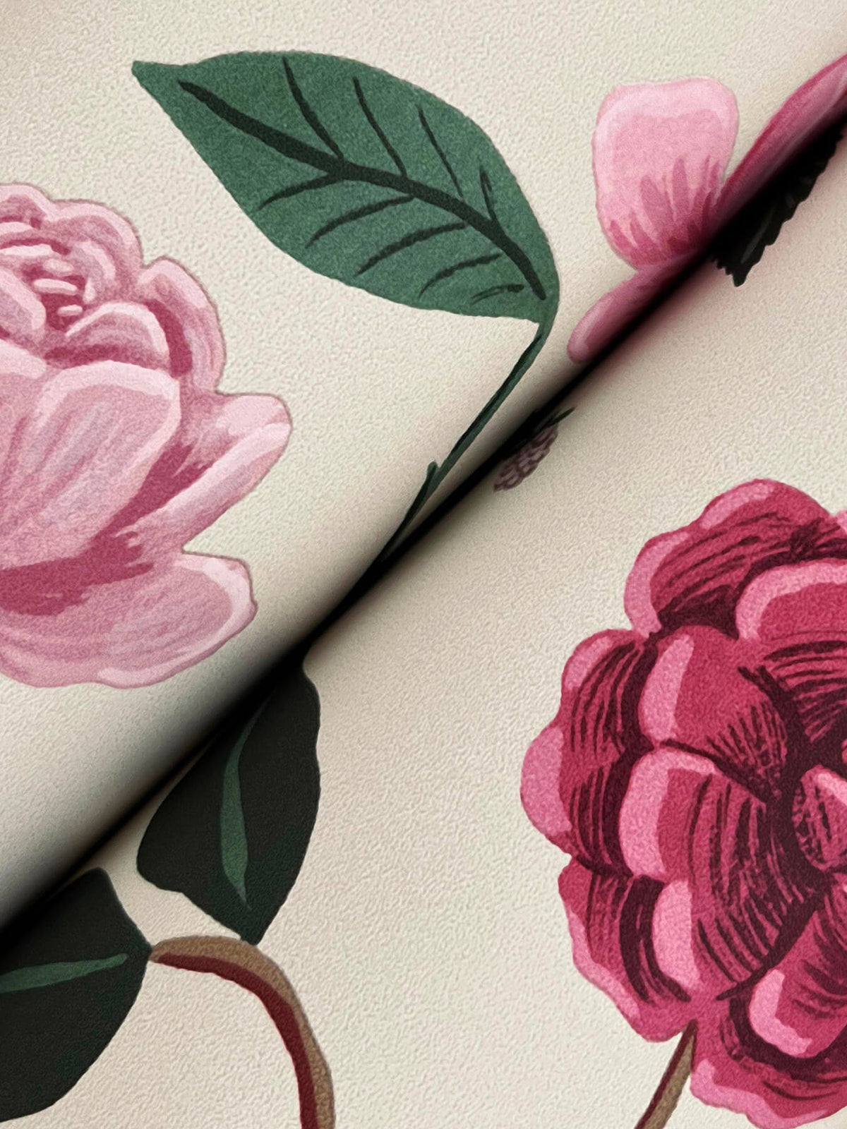 Rifle Paper Co. Roses Wallpaper Sample - Linen