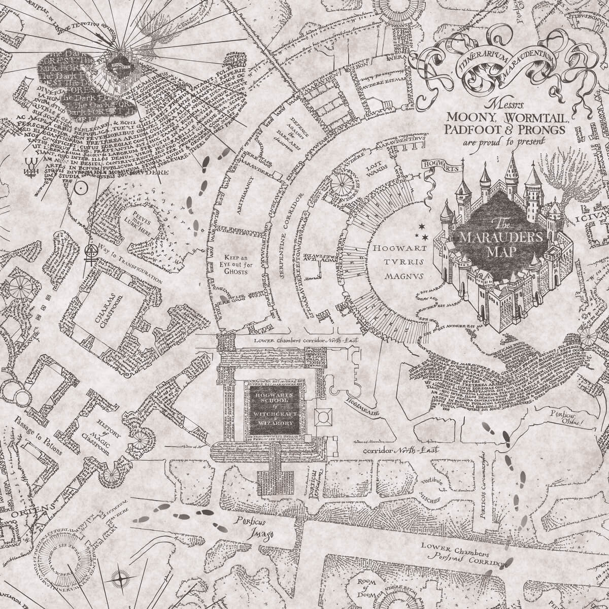 Harry Potter Marauder's Map Peel & Stick Wallpaper - Gray