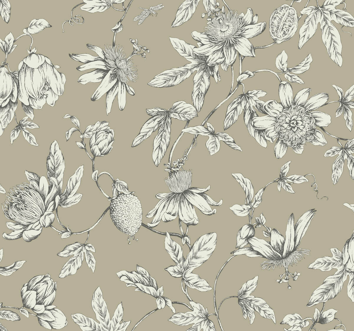 York Toile Passion Flower Toile Wallpaper Sample - Soft Brown