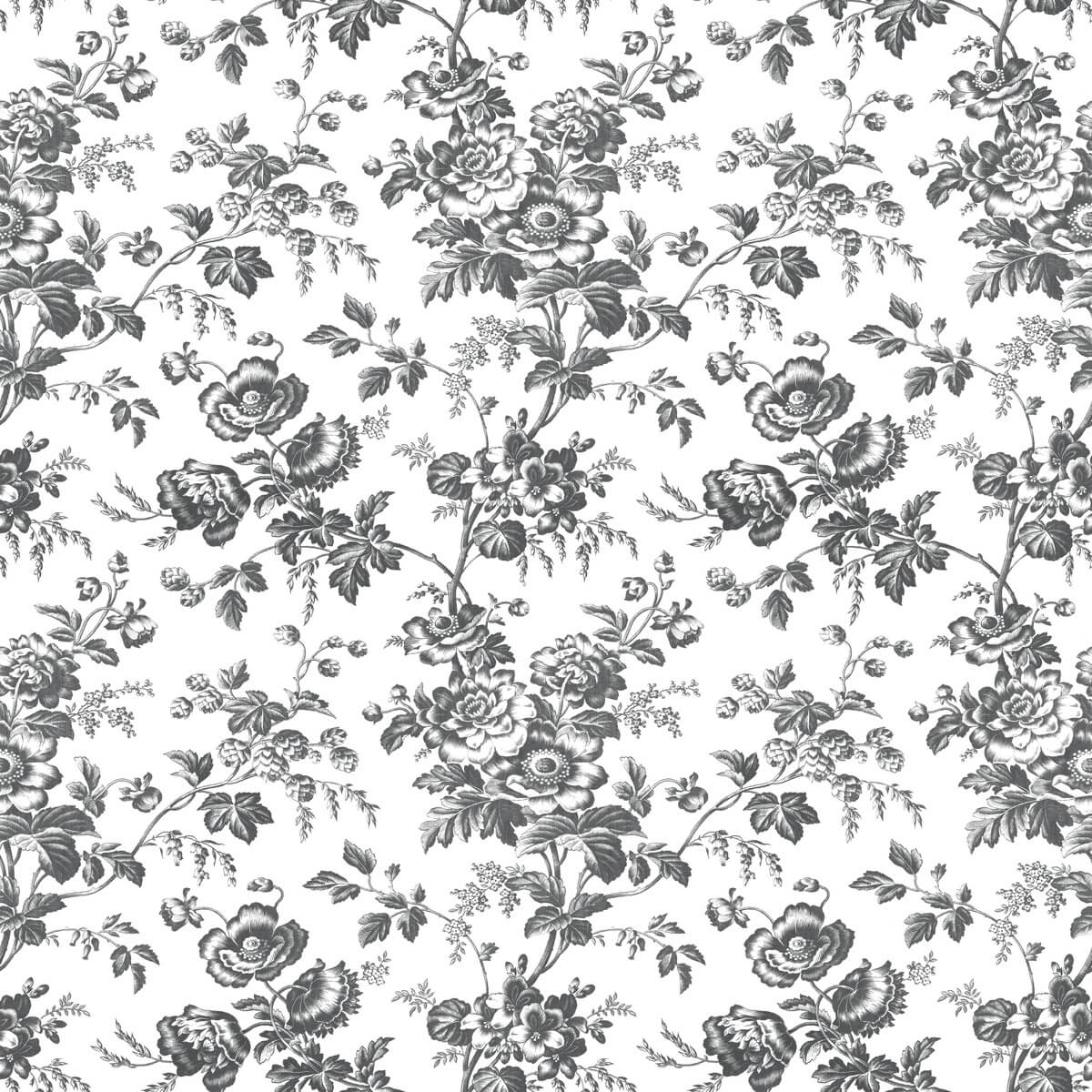 York Toile Anemone Toile Wallpaper - Black