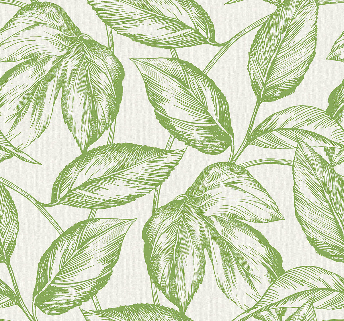 Seabrook Summer House Beckett Sketched Leaves Wallpaper Sample - Apple Green