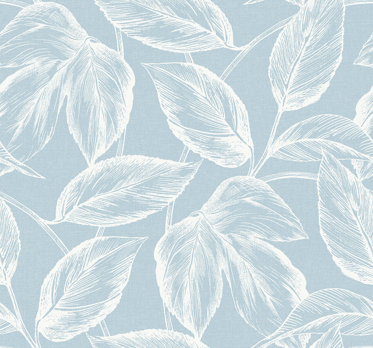 Seabrook Summer House Beckett Sketched Leaves Wallpaper Sample - Baby Blue