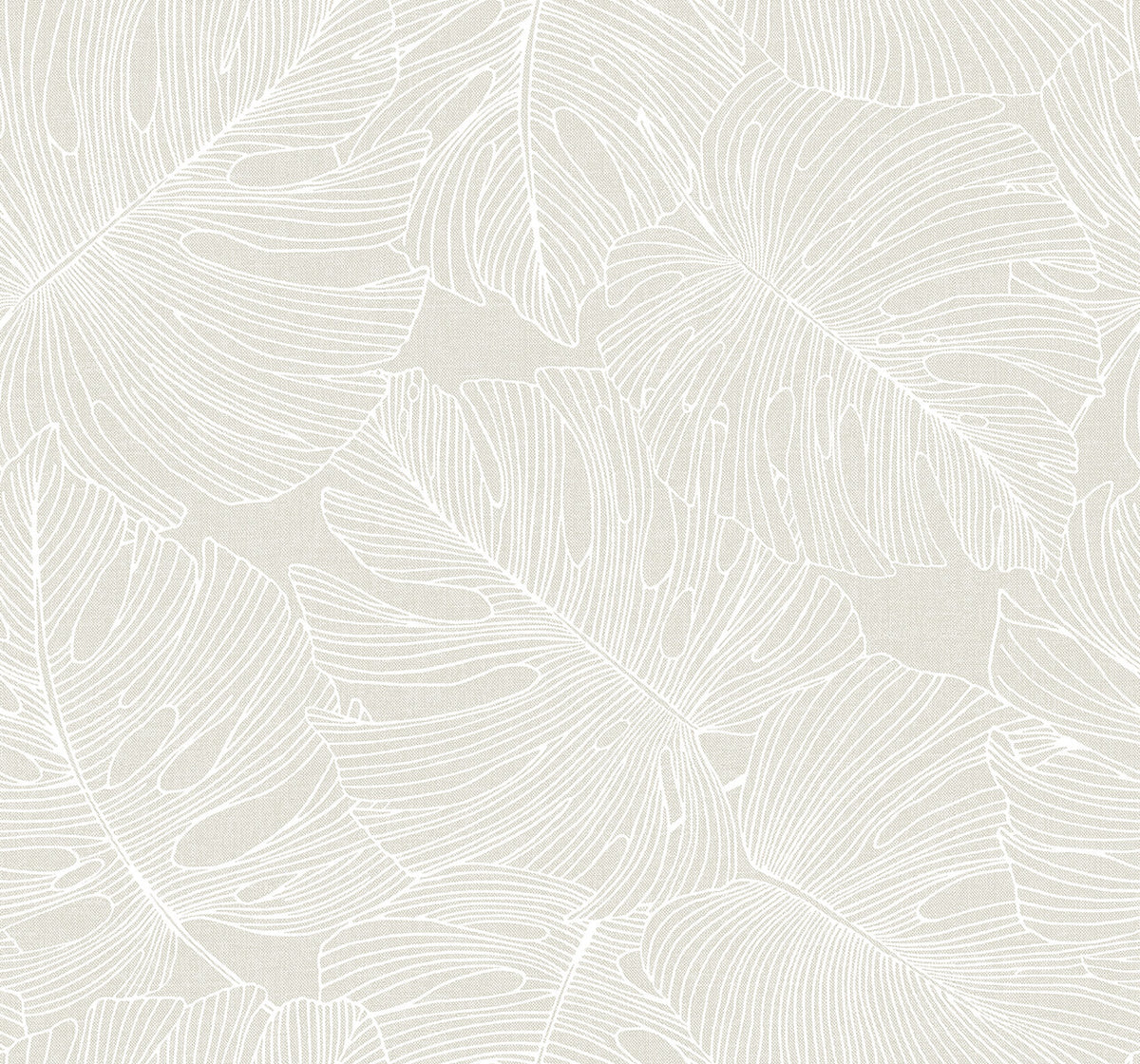 Seabrook Summer House Tarra Monstera Leaf Wallpaper - White Sand