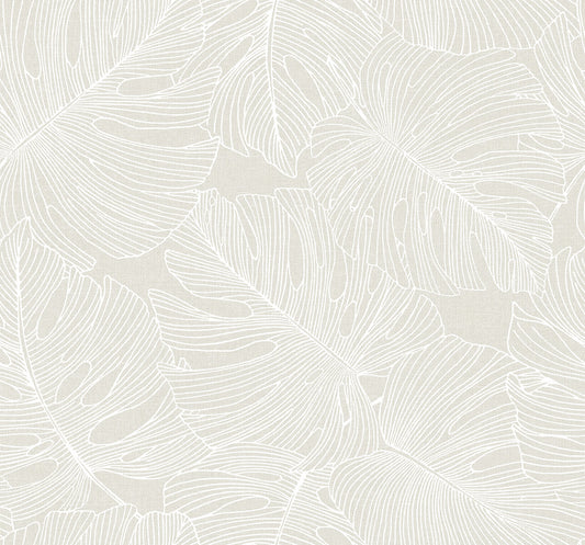Seabrook Summer House Tarra Monstera Leaf Wallpaper - White Sand