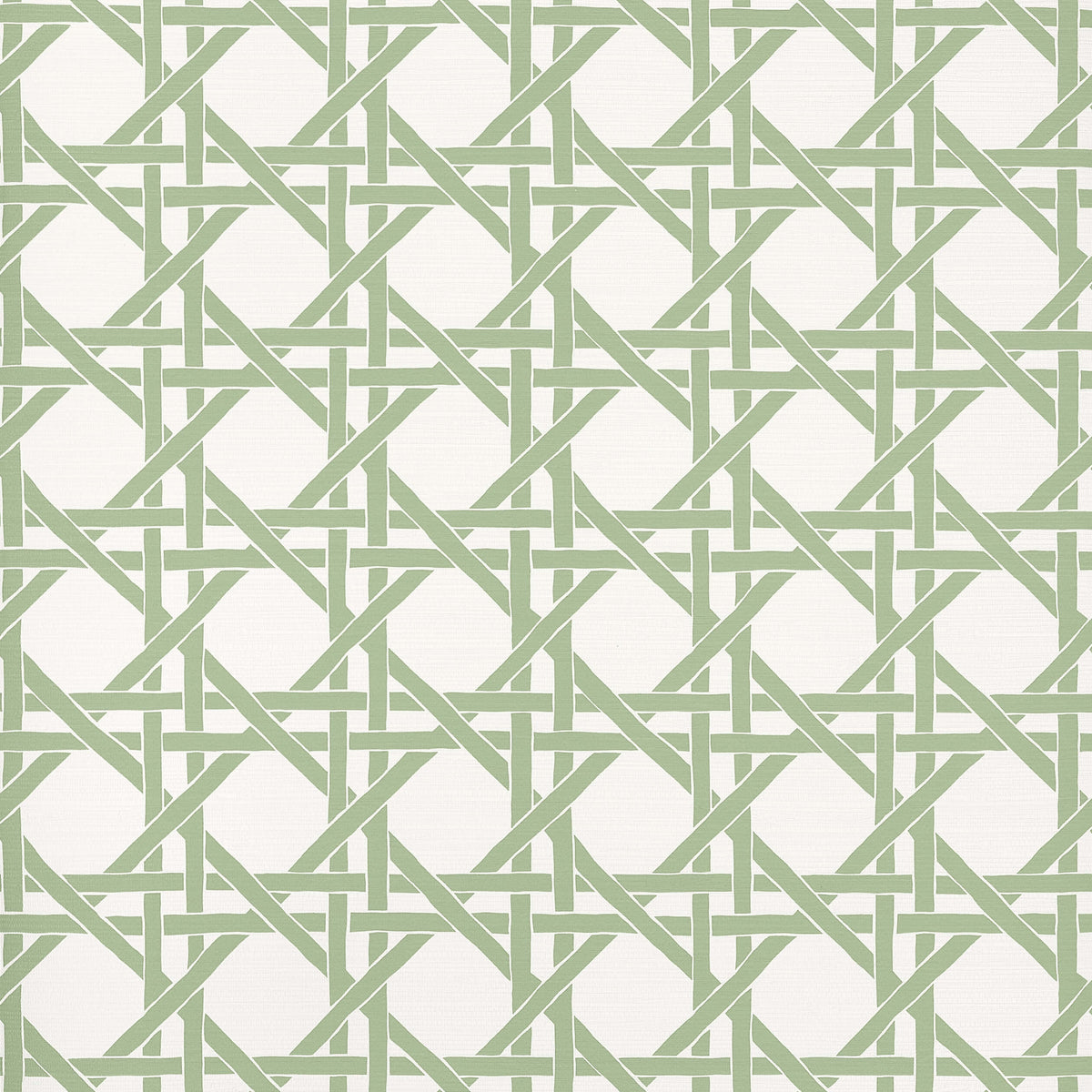 Thibaut Islander Canary Trellis Wallpaper Sample - Willow