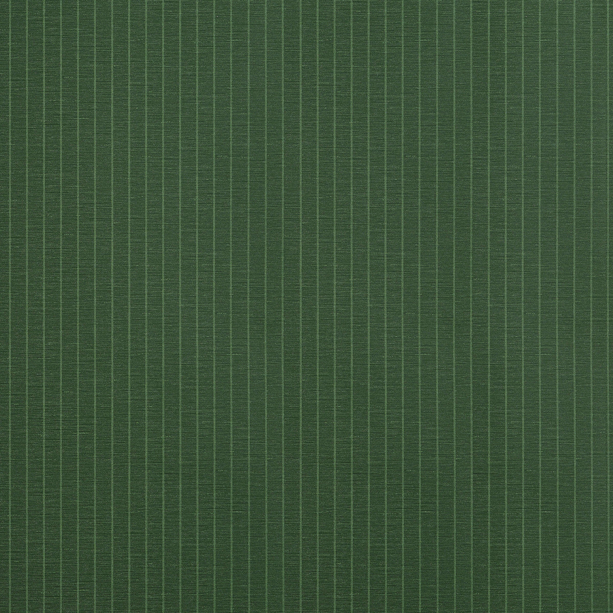 Thibaut Stripes & Checks Resource Suited Stripe Wallpaper Sample - Forest Green