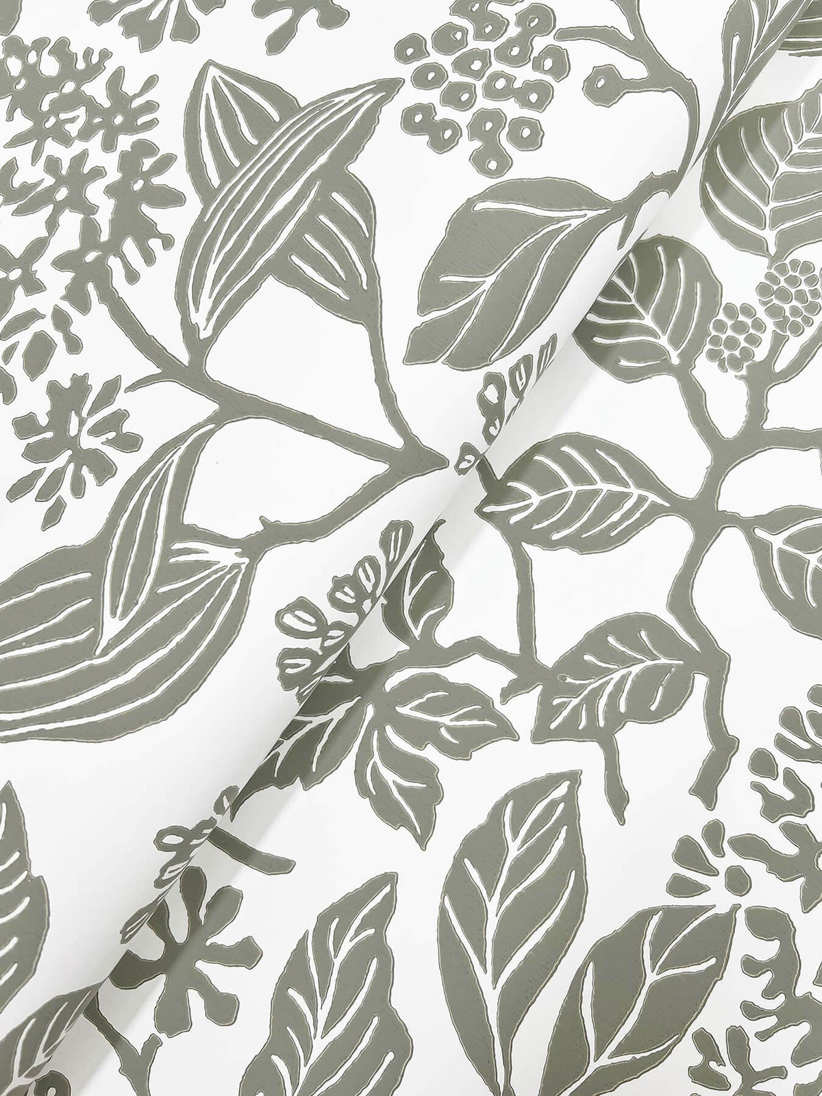 Antonina Vella Jardin Rowen Wallpaper Sample - Olive