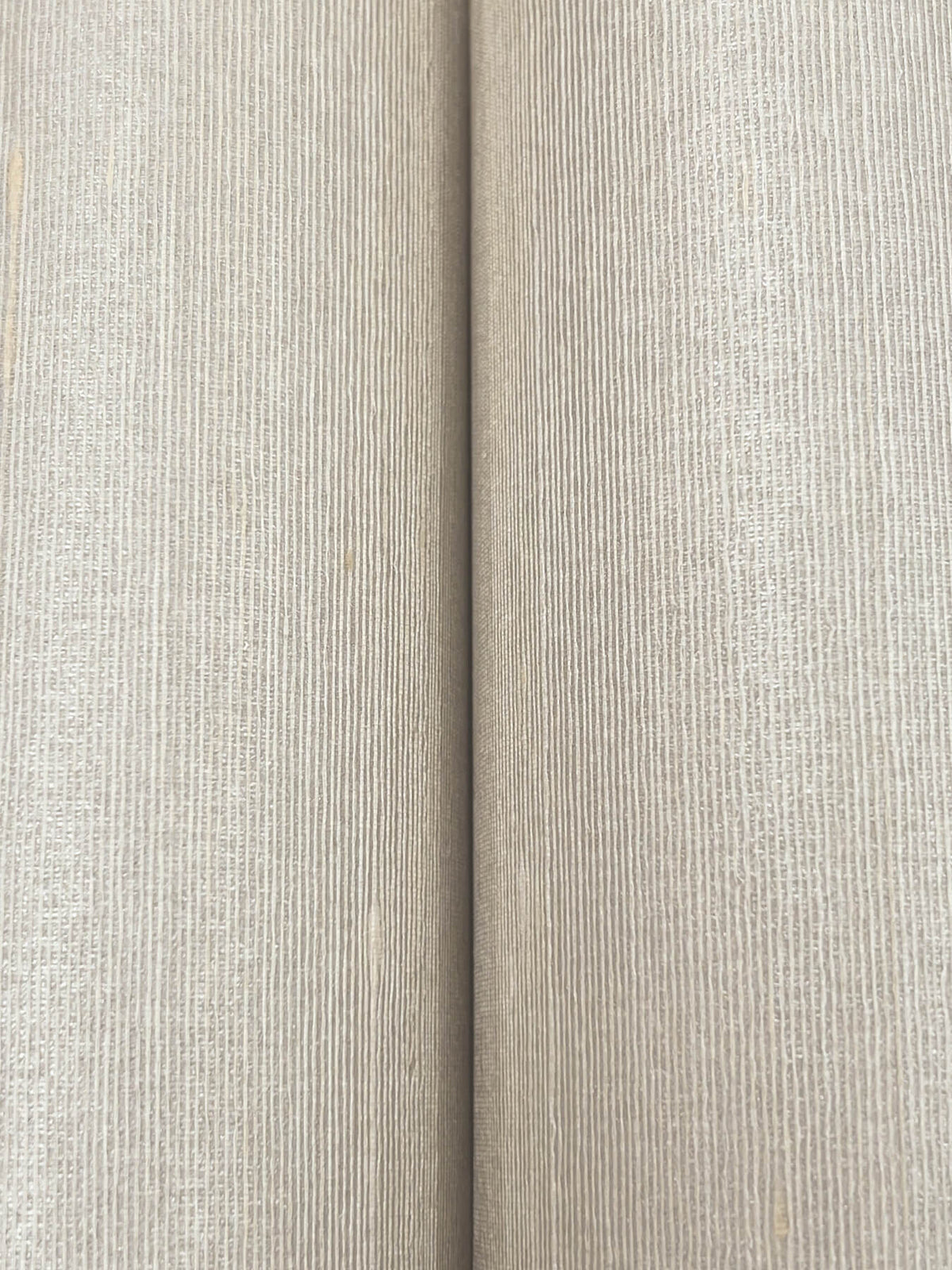 Ronald Redding Tea Garden Saori Silk Wallpaper - Sand