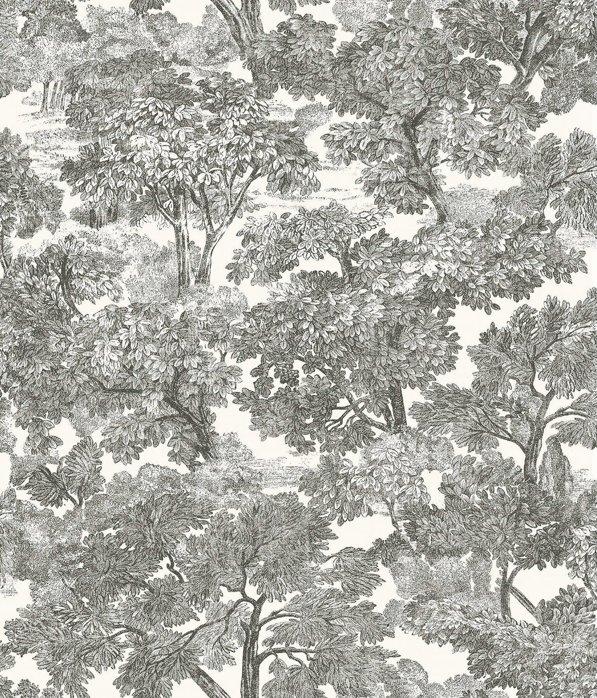 Chesapeake Farmhouse Spinney Toile Wallpaper - Black