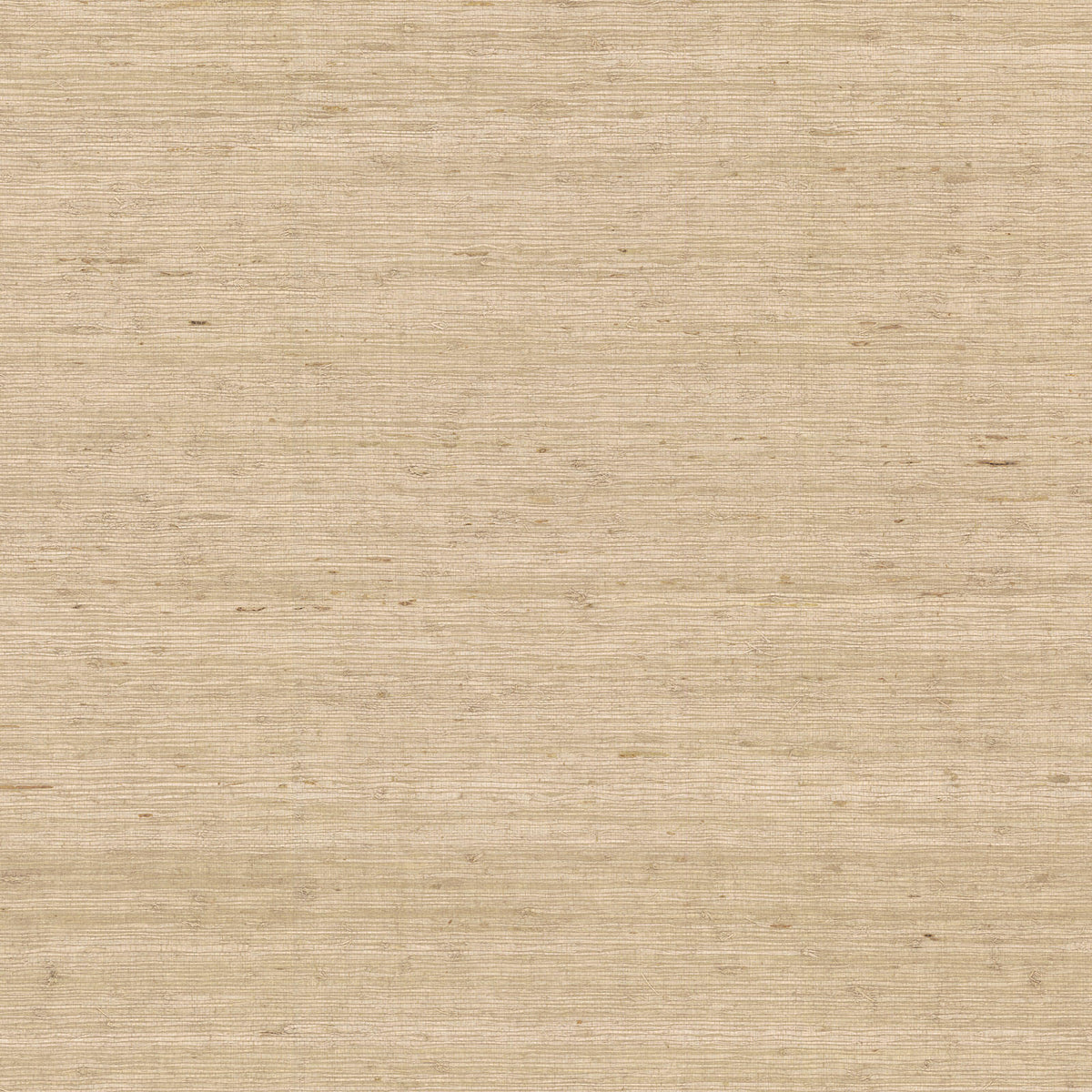 York Waters Edge Arrowroot Grasscloth Wallpaper - Beige