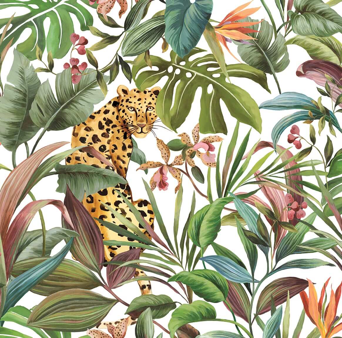 Daisy Bennett Tropical Leopard Peel & Stick Wallpaper Sample - White