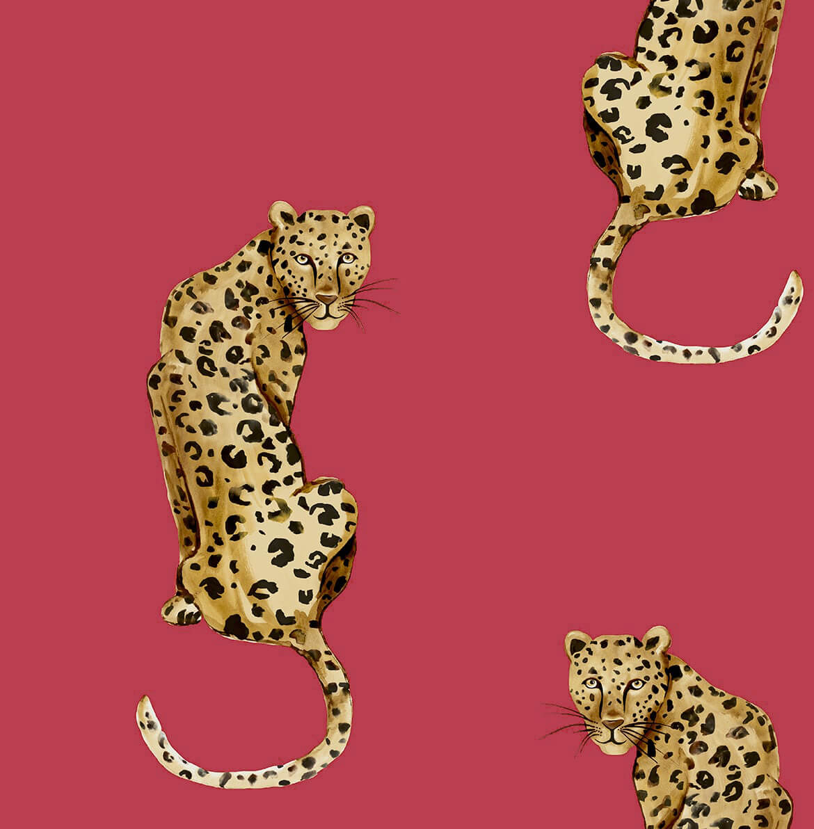Daisy Bennett Leopard King Black Peel & Stick Wallpaper