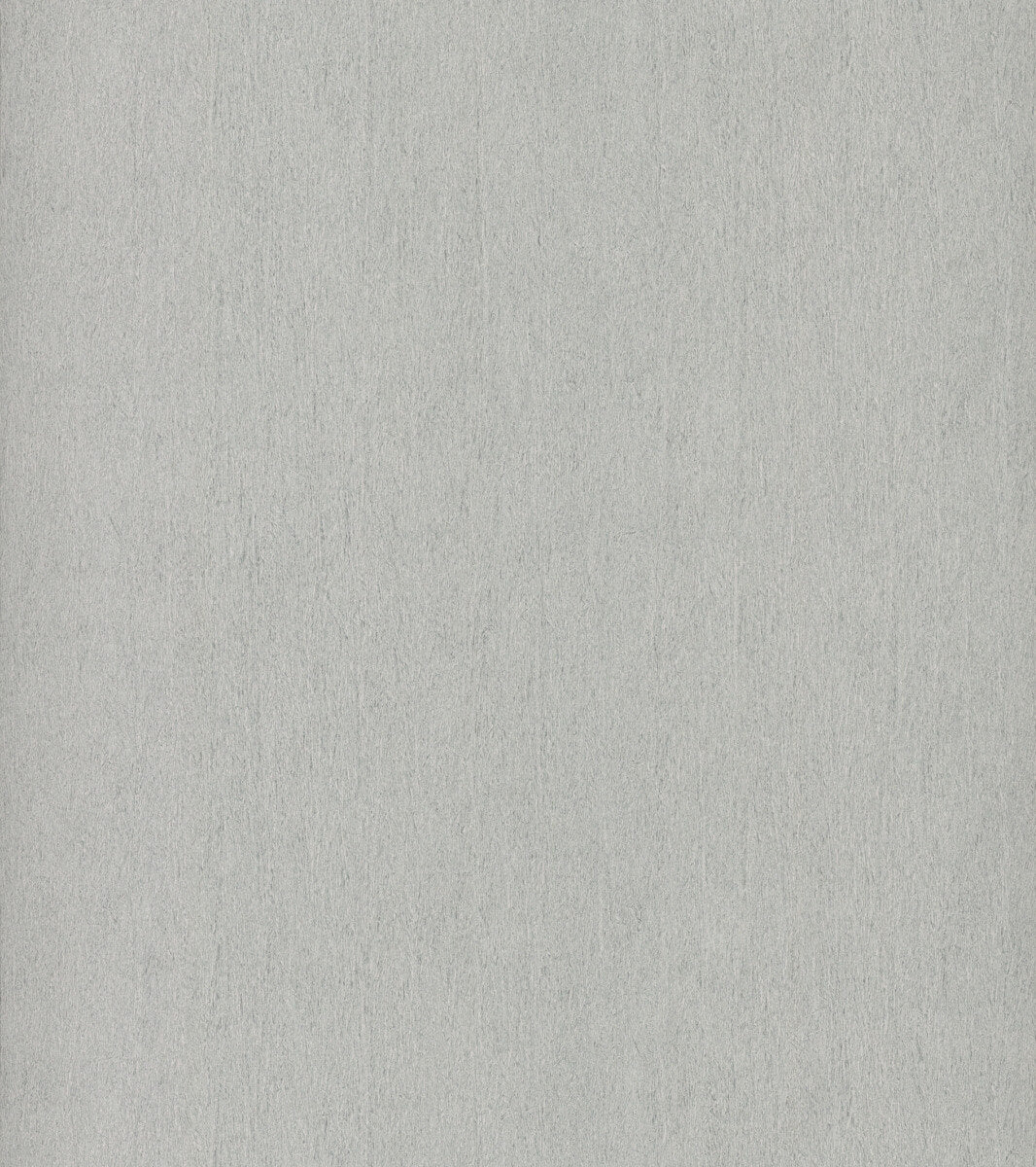 Antonina Vella Dazzling Dimensions Natural Texture Wallpaper - Light Gray