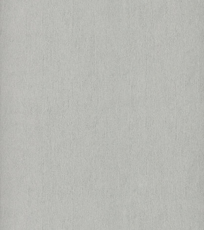Antonina Vella Dazzling Dimensions Natural Texture Wallpaper - Light Gray
