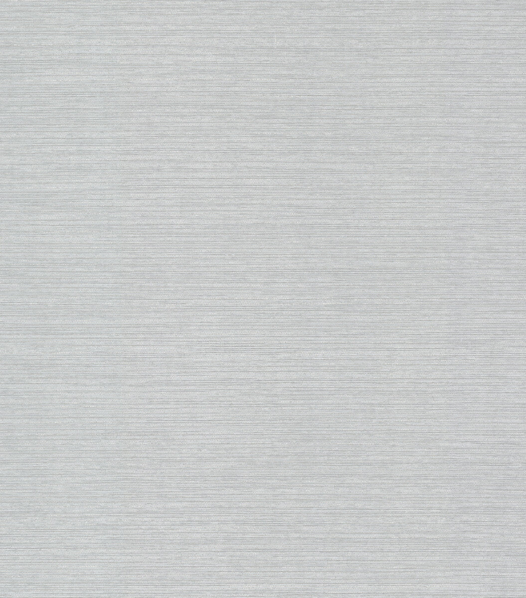 Antonina Vella Dazzling Dimensions Shining Sisal Wallpaper - Silver