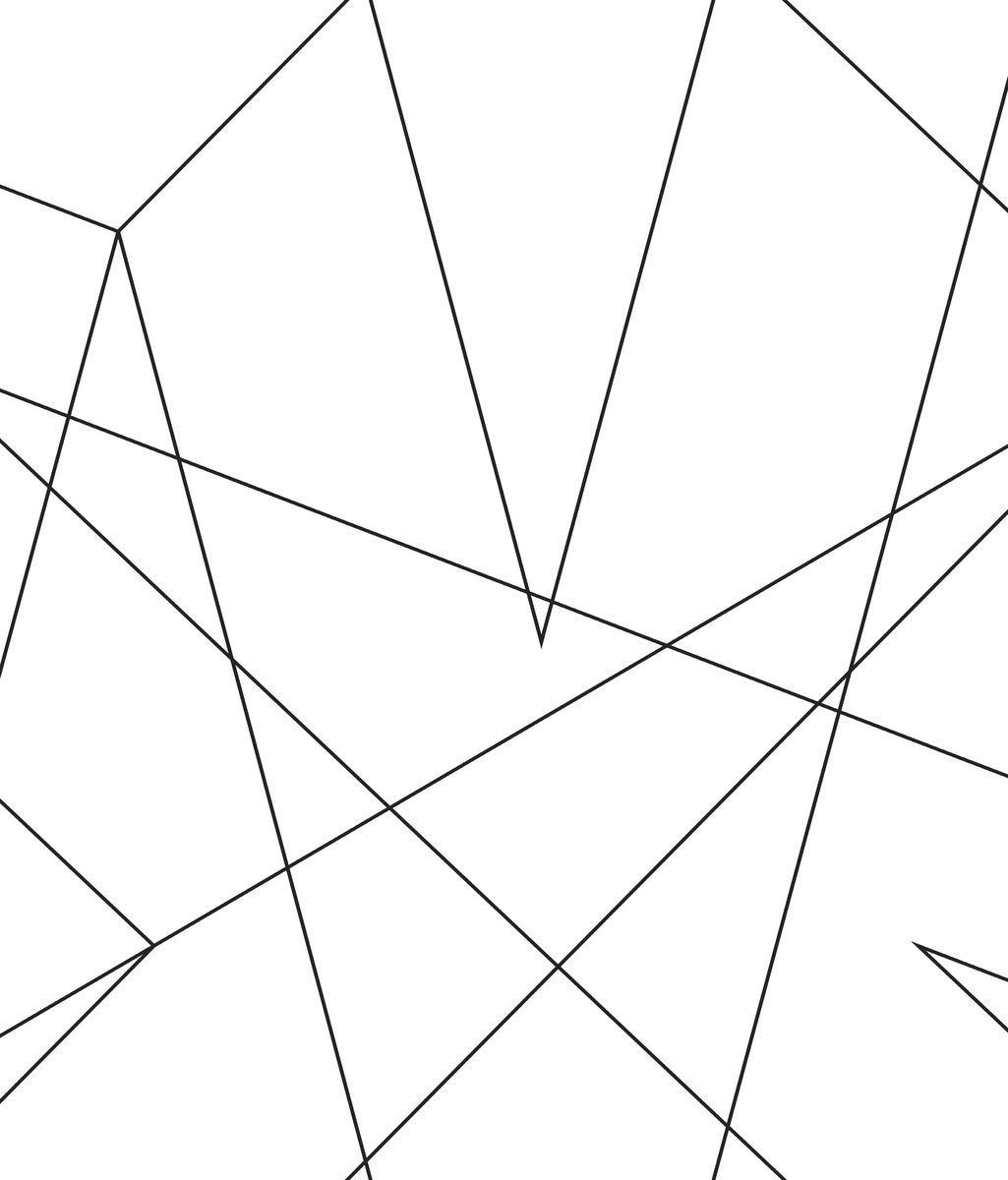 Spider Man Fracture Web Wallpaper Sample - Black & White