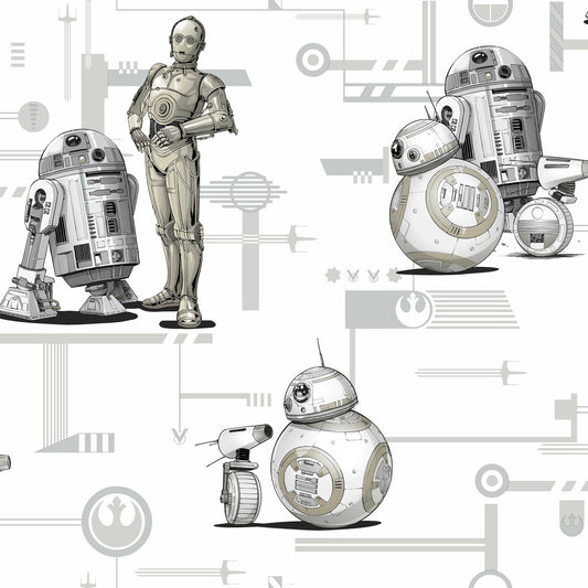 Star Wars The Rise of Skywalker Droids Wallpaper - Black & White