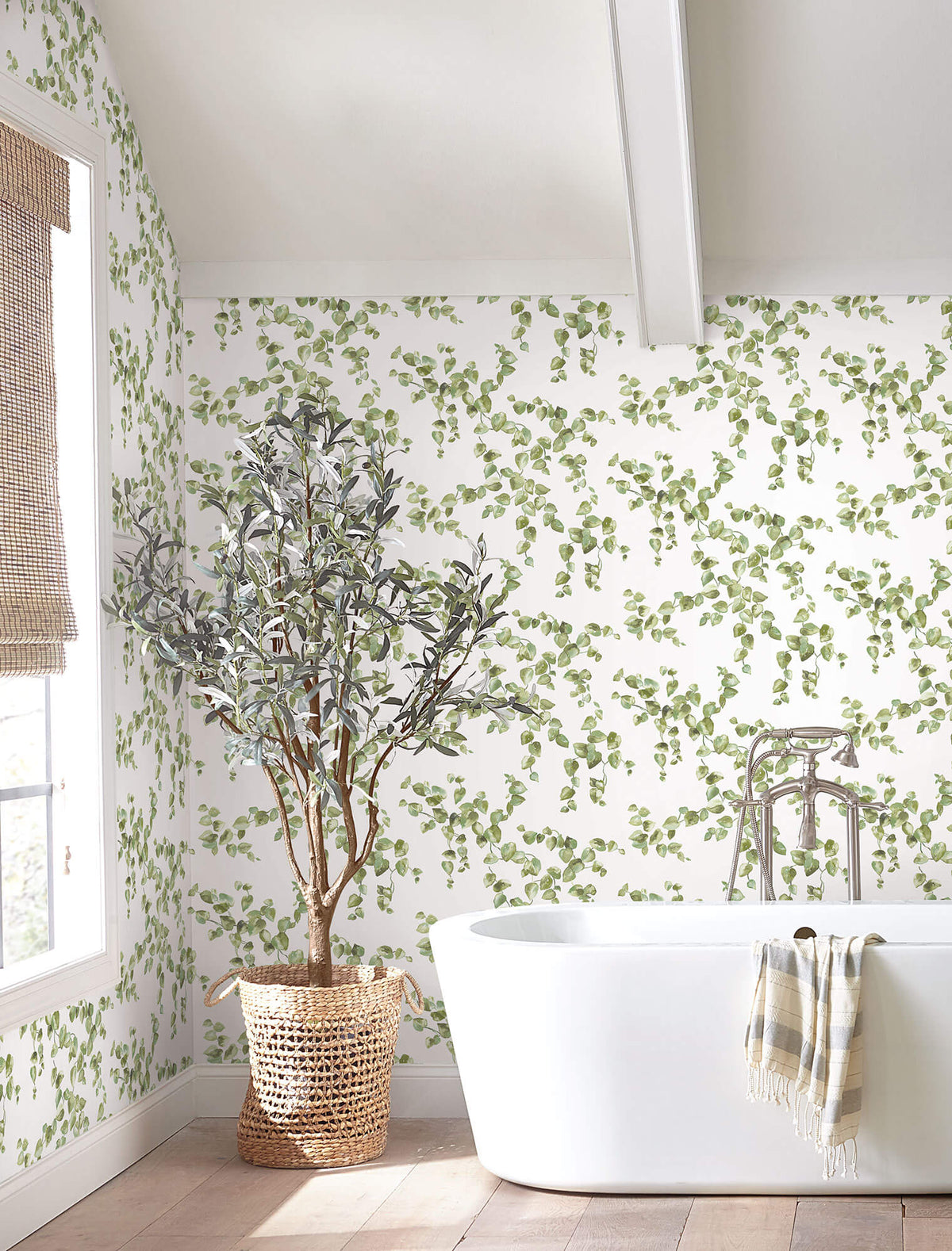 York Simply Farmhouse Creeping Fig Vine Wallpaper - Green