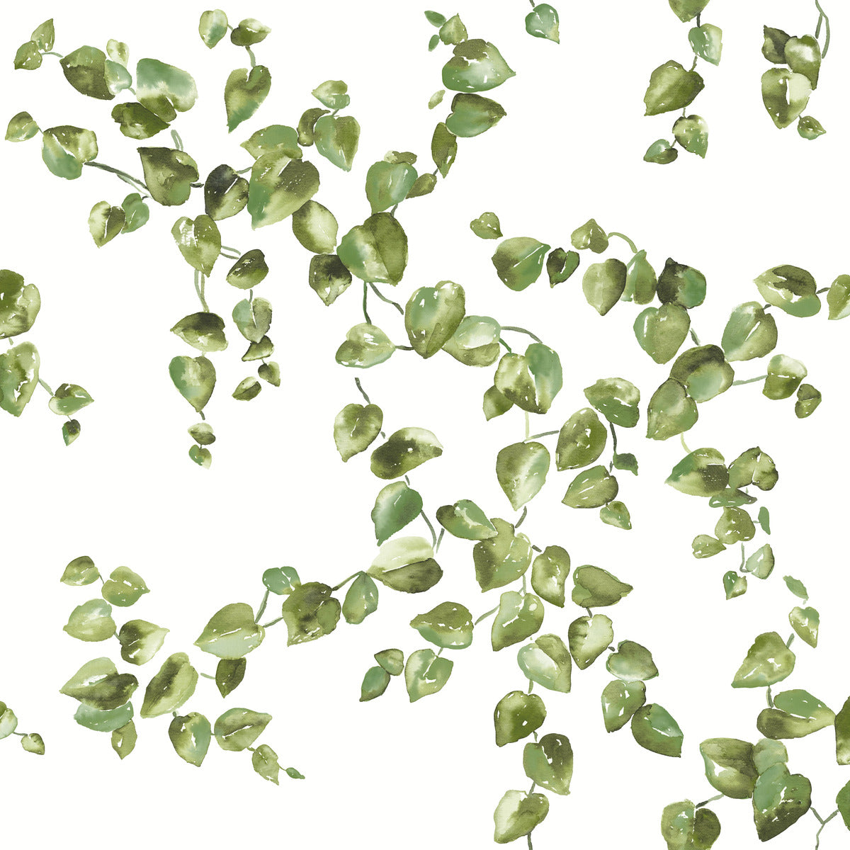York Simply Farmhouse Creeping Fig Vine Wallpaper - Green
