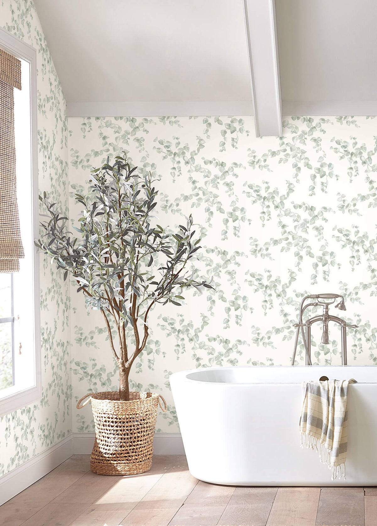 York Simply Farmhouse Creeping Fig Vine Wallpaper - Sage Green