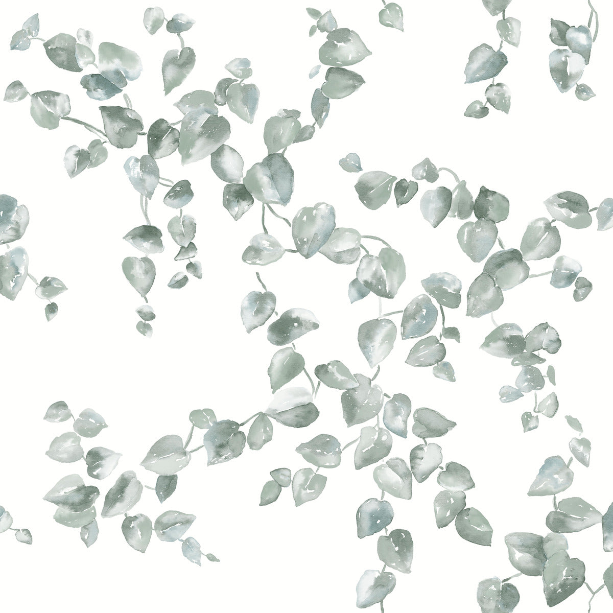 York Simply Farmhouse Creeping Fig Vine Wallpaper - Sage Green