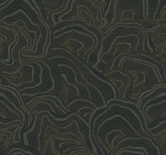 Ronald Redding 24 Karat Geodes Wallpaper - Black