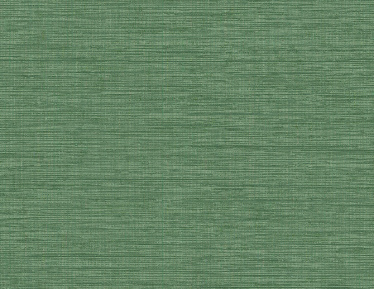 Seabrook Beach House Nautical Twine Wallpaper Sample - Green