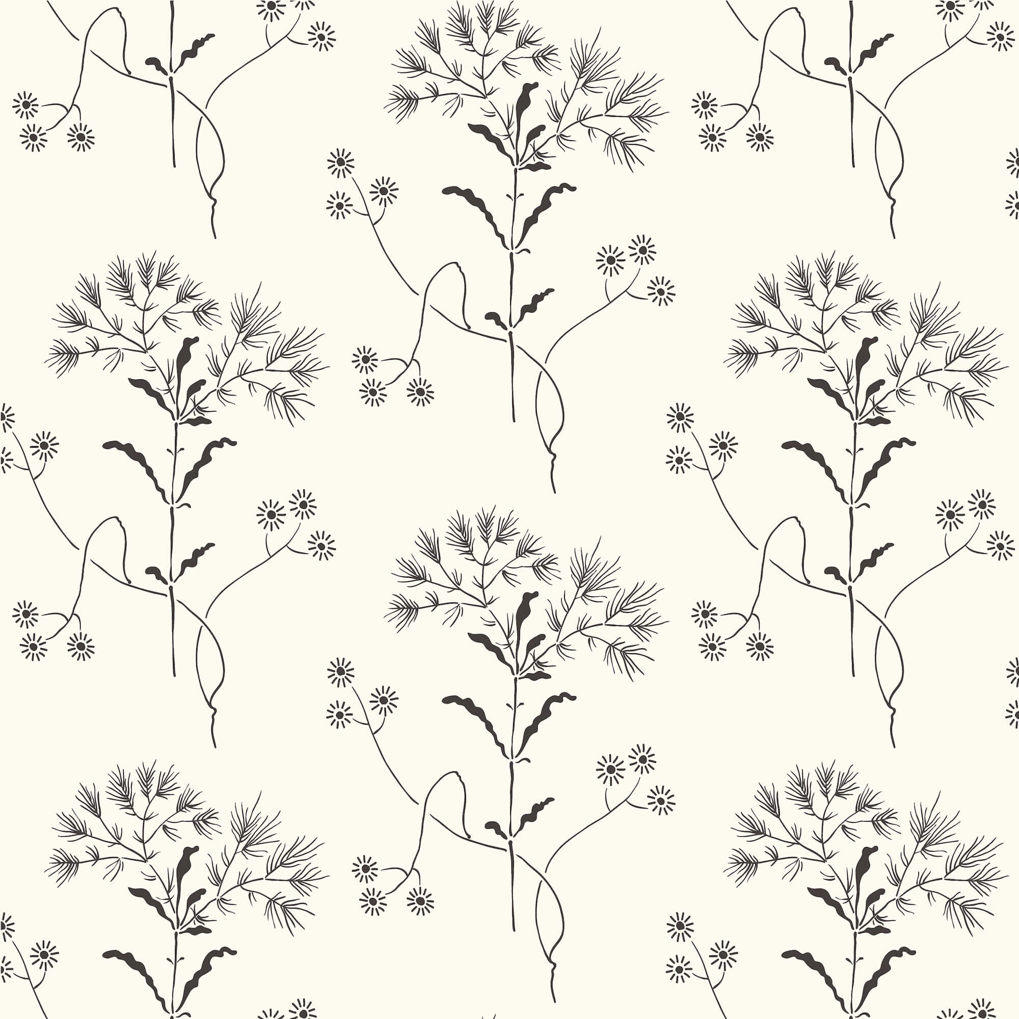 black and white floral patterns backgrounds