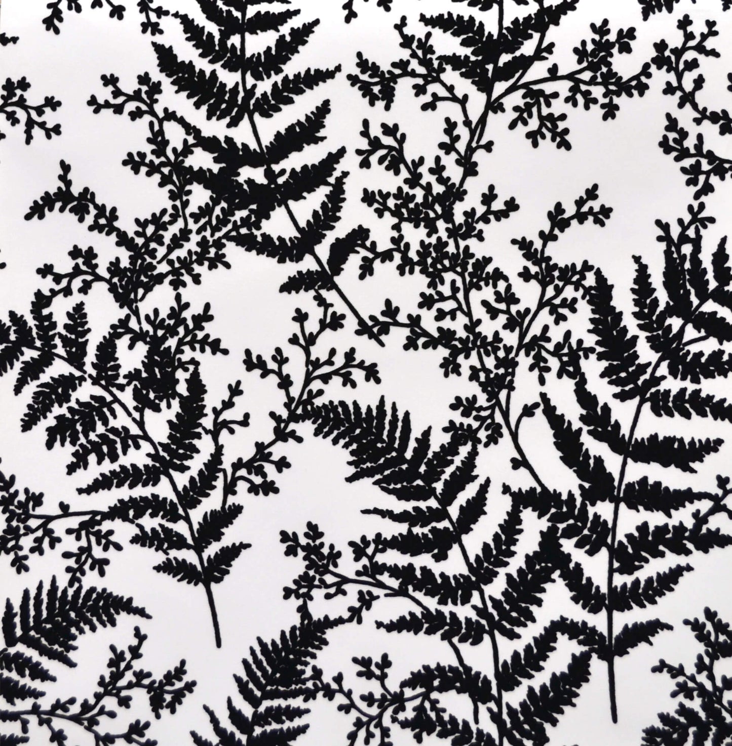 ME1583 Magnolia Home Forest Fern Wallpaper Black