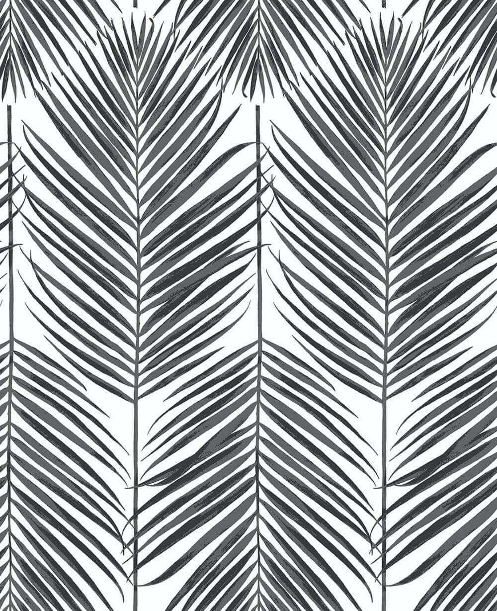 NextWall Paradise Palm Peel & Stick Wallpaper - Black