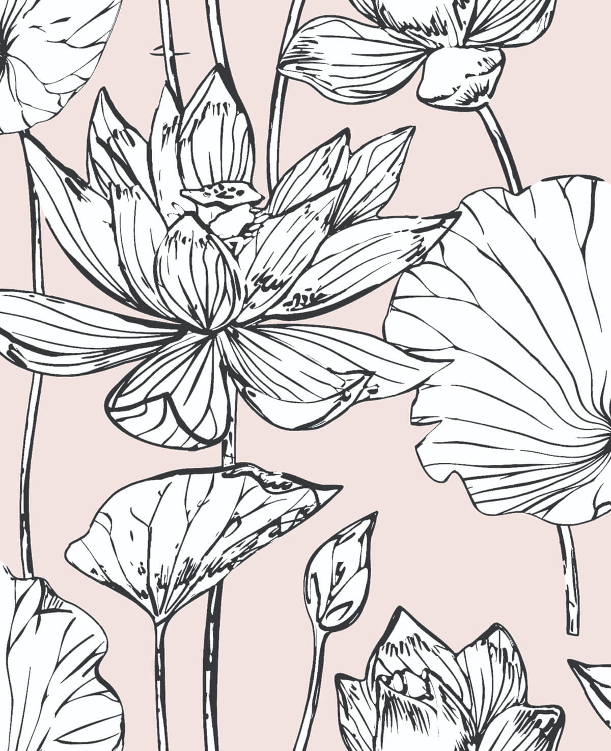 NextWall Lotus Floral Peel & Stick Wallpaper Sample - Pink
