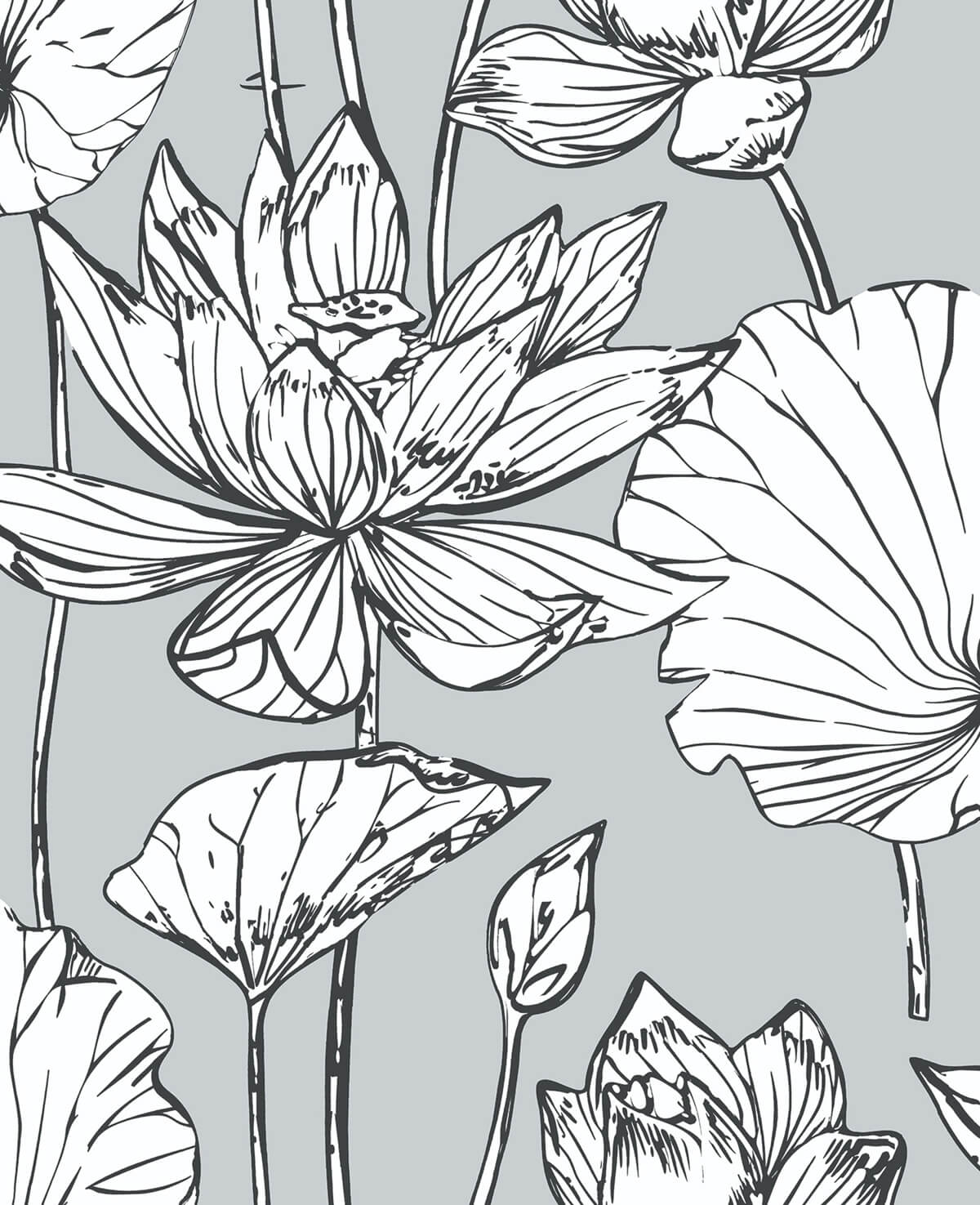 NextWall Lotus Floral Peel & Stick Wallpaper - Gray