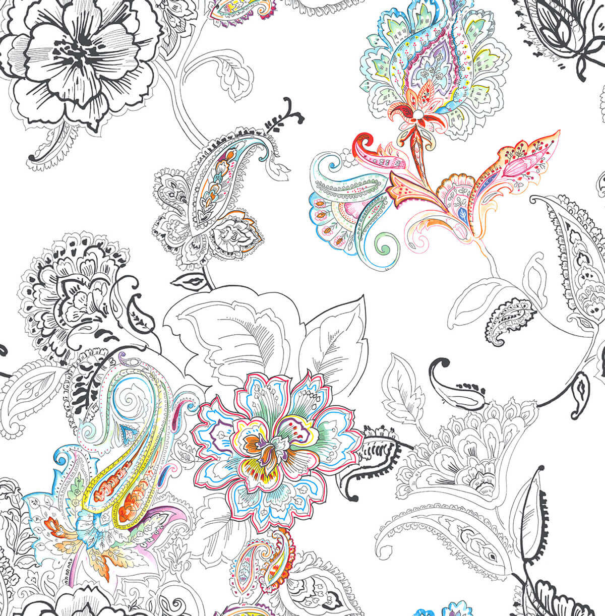 colorful paisley designs