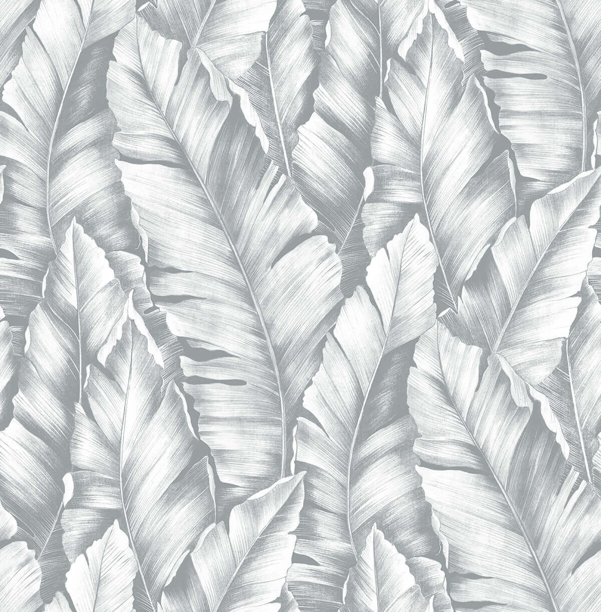 NextWall Baha Banana Leaves Peel & Stick Wallpaper - Gray