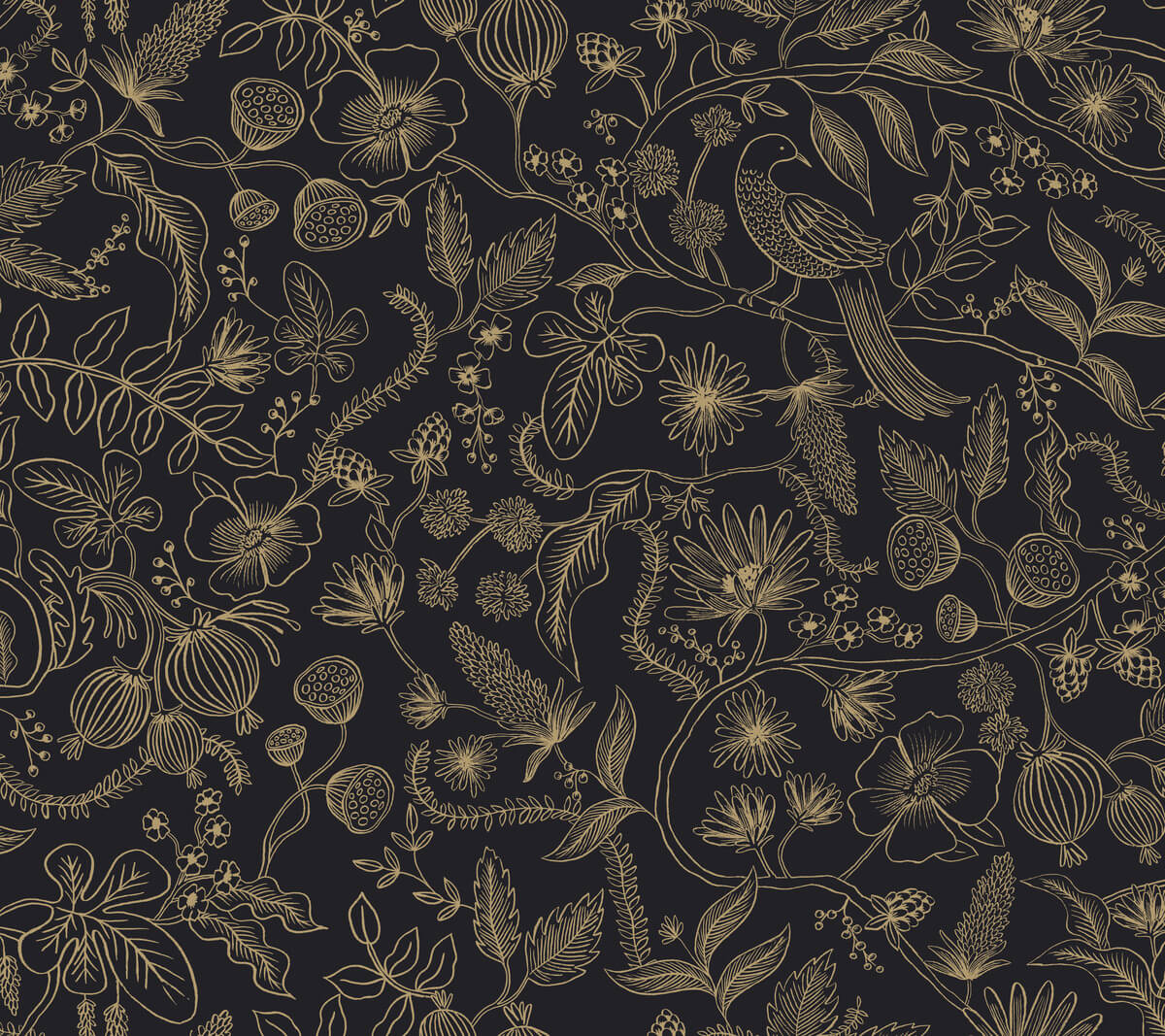 Rifle Paper Co. Aviary Peel & Stick Wallpaper - Black & Gold