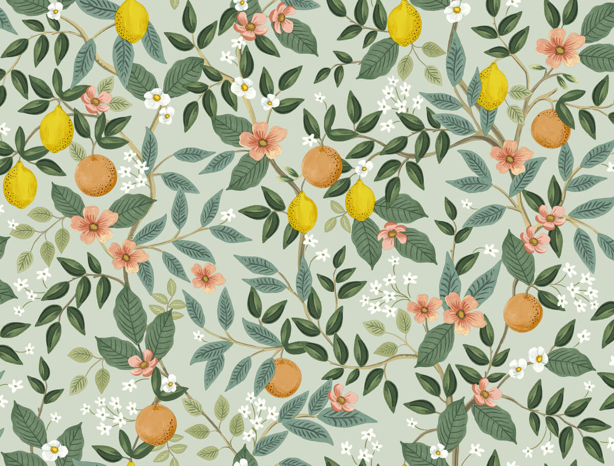 Rifle Paper Co. Citrus Grove Peel & Stick Wallpaper Sample - Mint Green