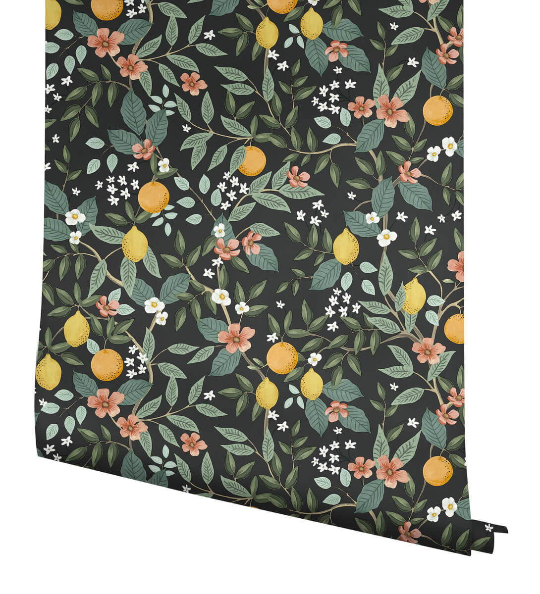 Rifle Paper Co. Citrus Grove Peel & Stick Wallpaper - Black