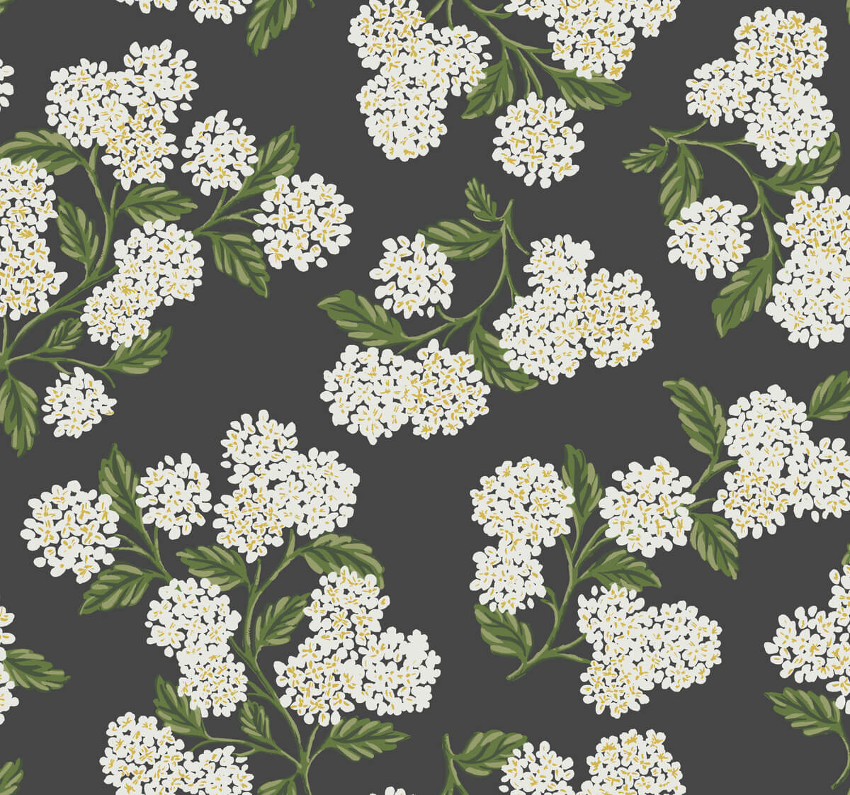 Rifle Paper Co. Hydrangea Wallpaper Sample - Black & White