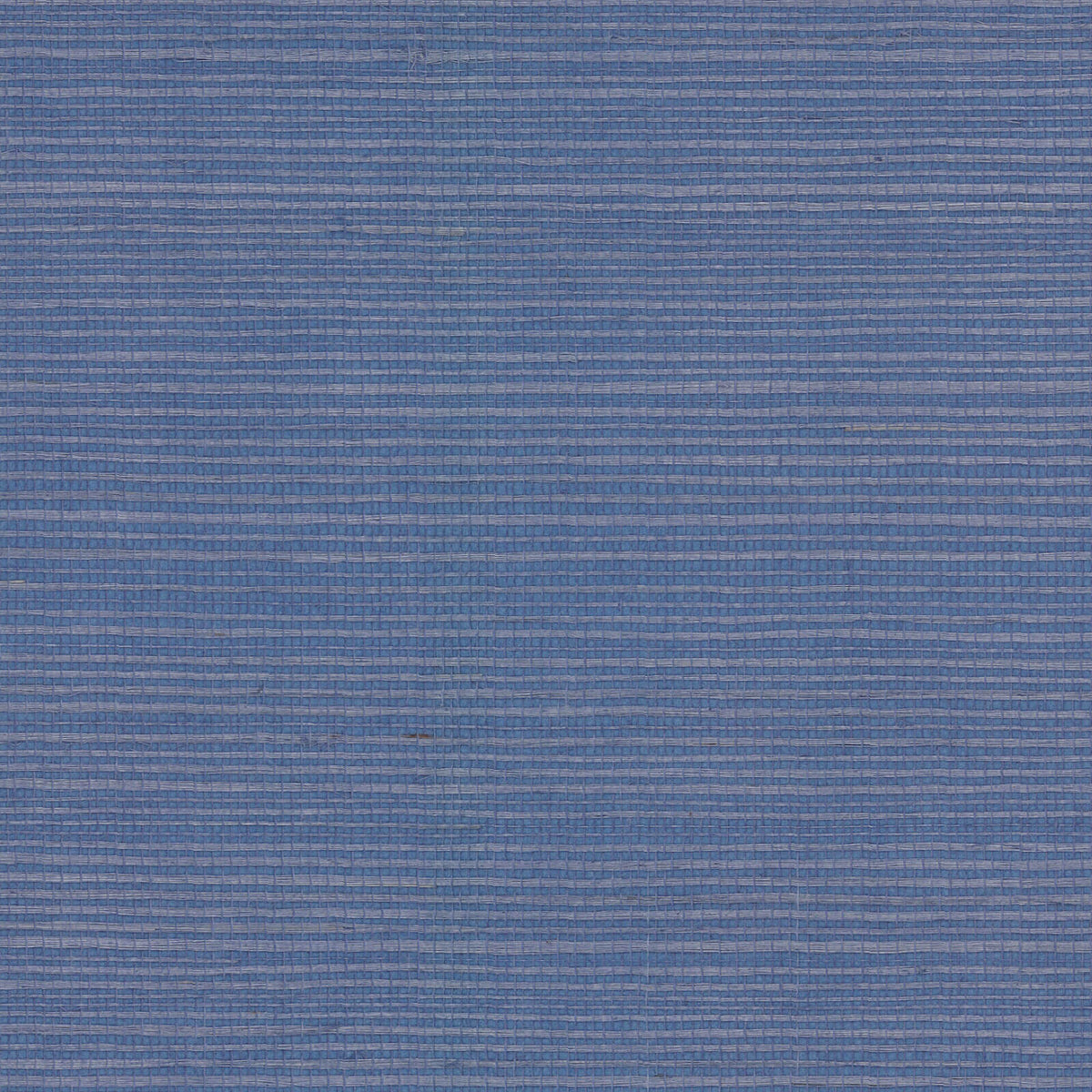Rifle Paper Co. Palette Grasscloth Wallpaper - Blue