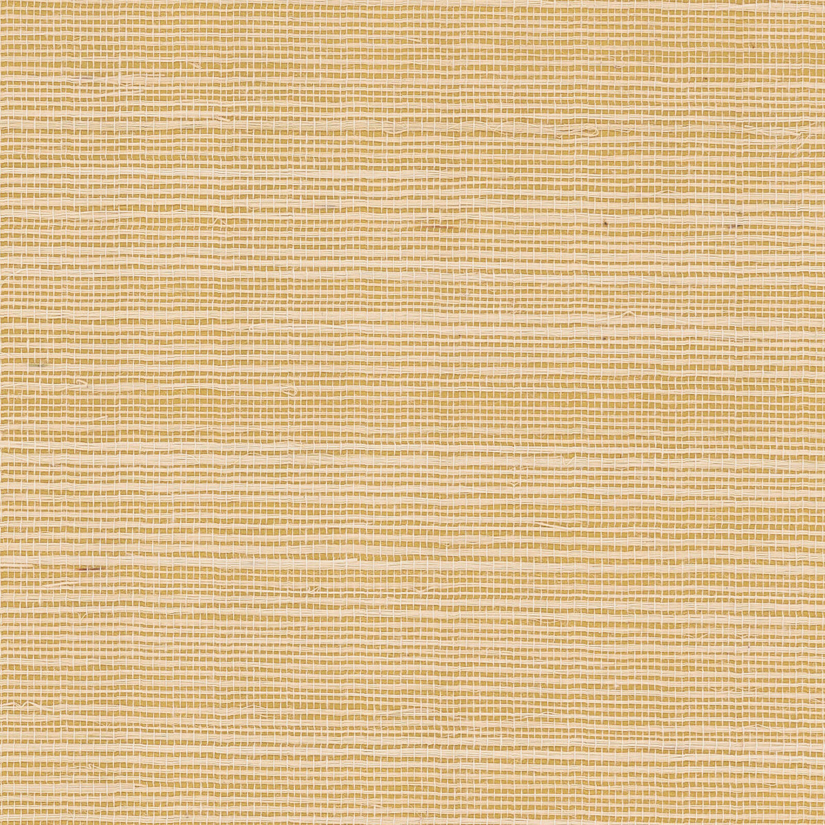 Rifle Paper Co. Palette Grasscloth Wallpaper - Gold