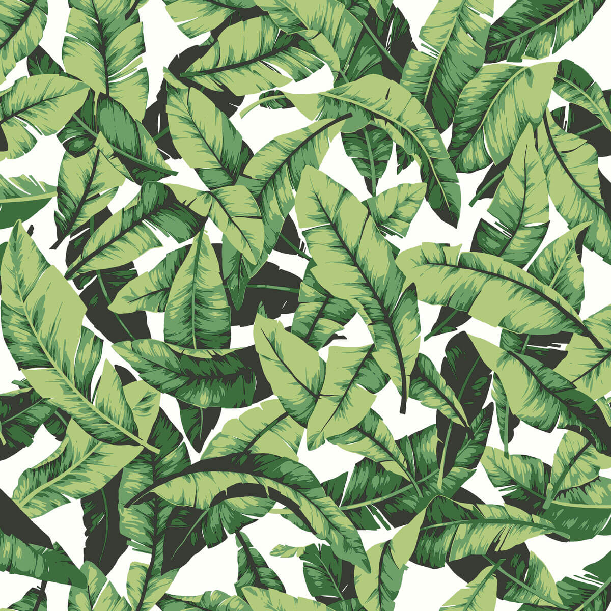 York Palm Leaves Peel & Stick Wallpaper - Green