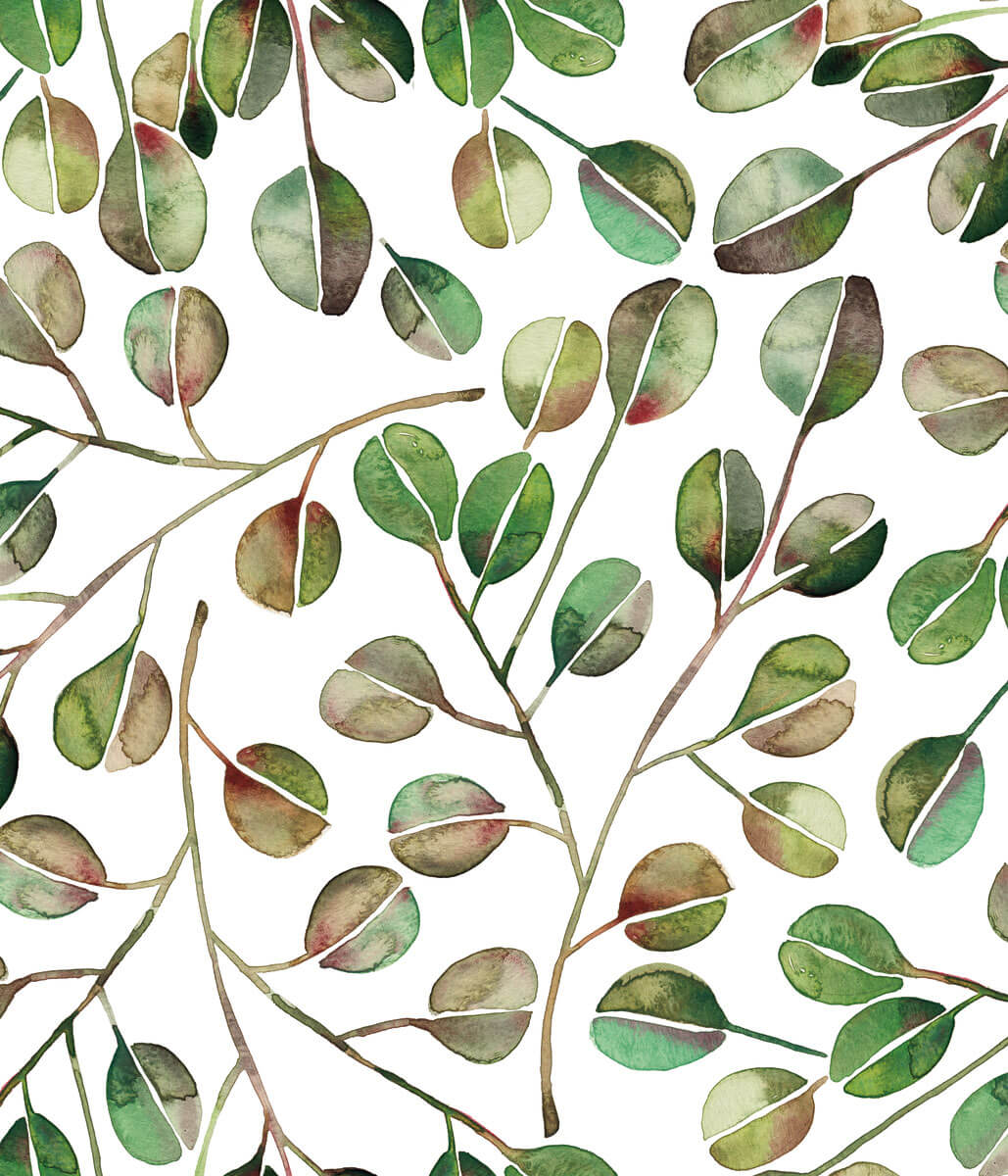 CatCoq Eucalyptus Peel & Stick Wallpaper - SAMPLE