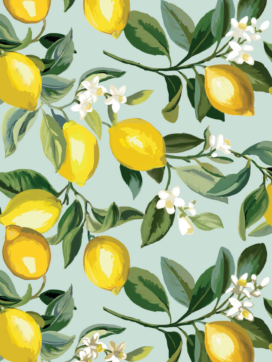 York Lemon Zest Peel & Stick Wallpaper - Blue & Yellow