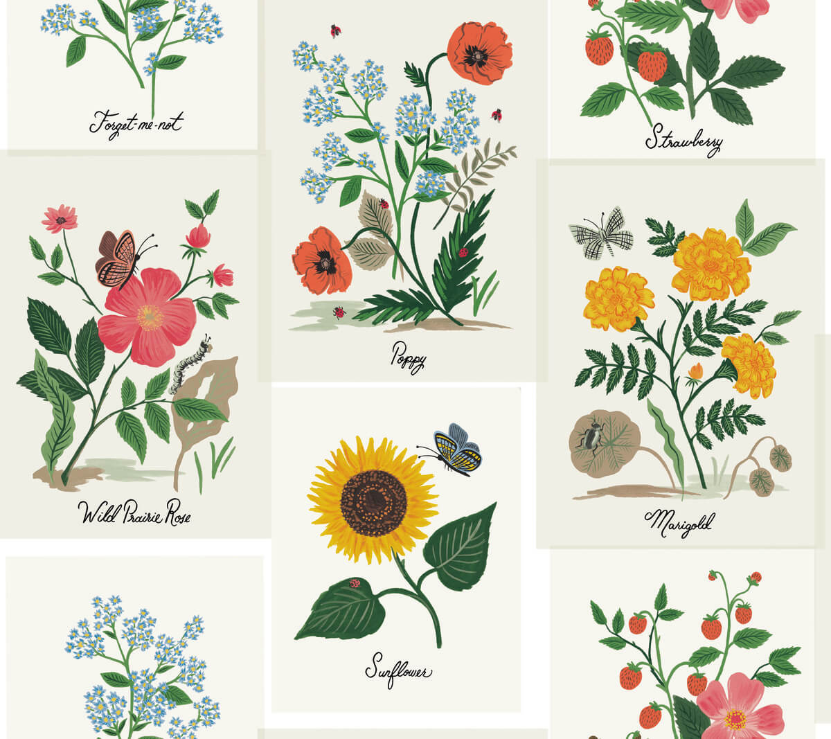 Rifle Paper Co. Botanical Prints Wallpaper - Red & Yellow
