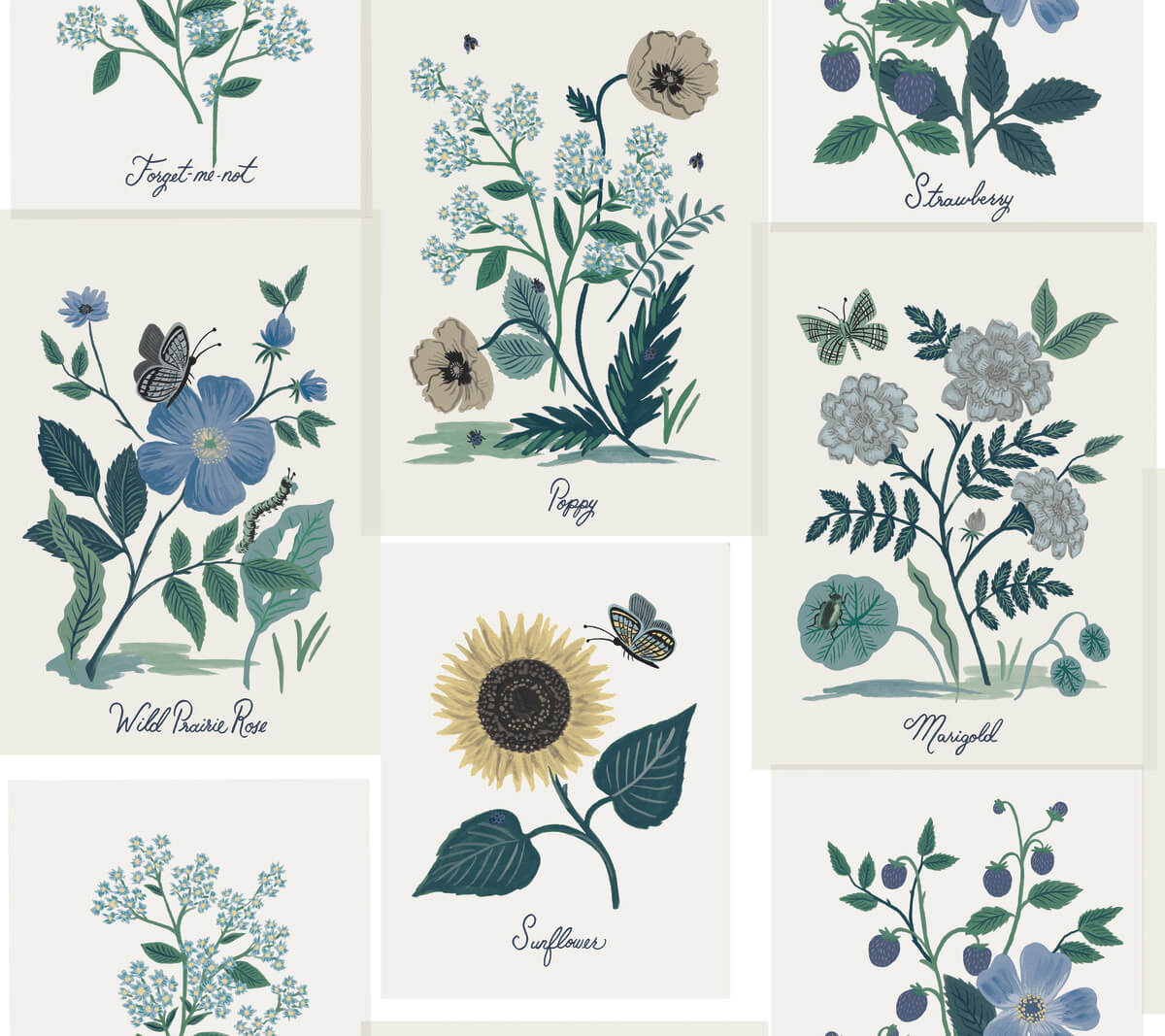 Rifle Paper Co. Botanical Prints Wallpaper - Blue