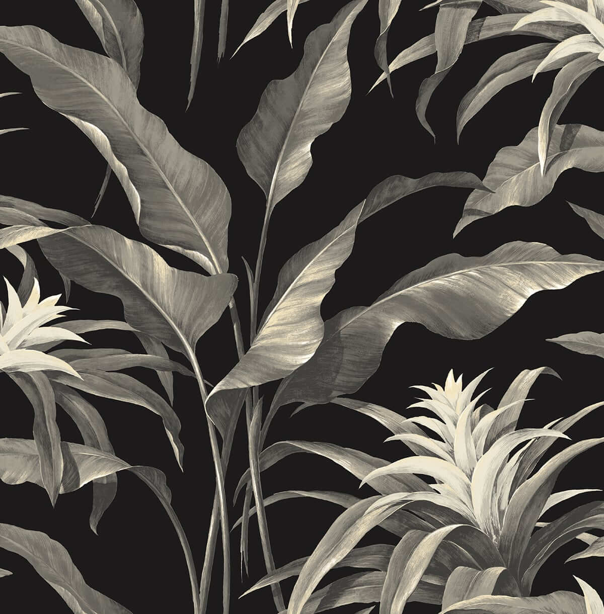 Stacy Garcia Home Palma Peel & Stick Wallpaper Sample - Black