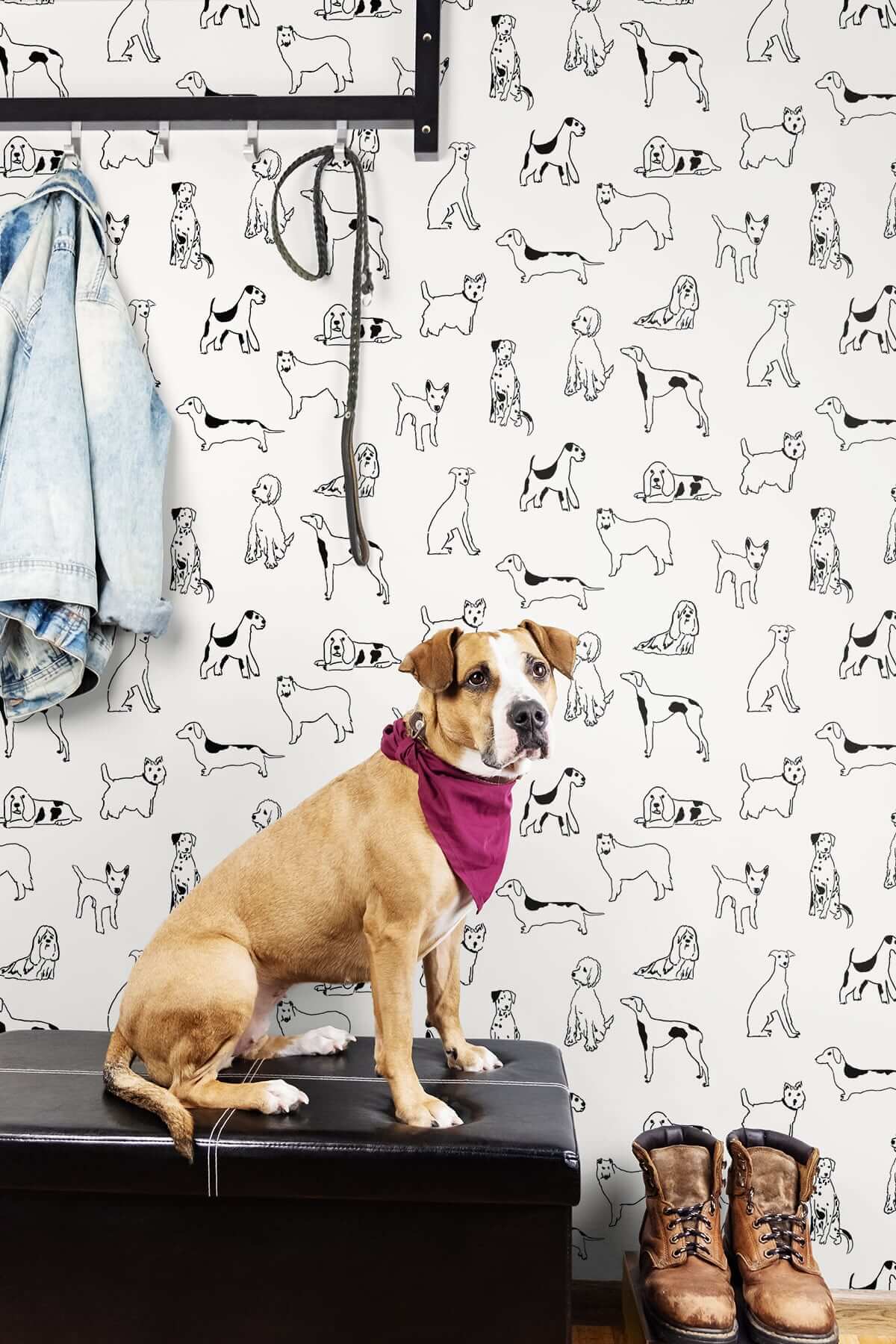Stacy Garcia Home Best in Show Peel & Stick Wallpaper Sample - Black