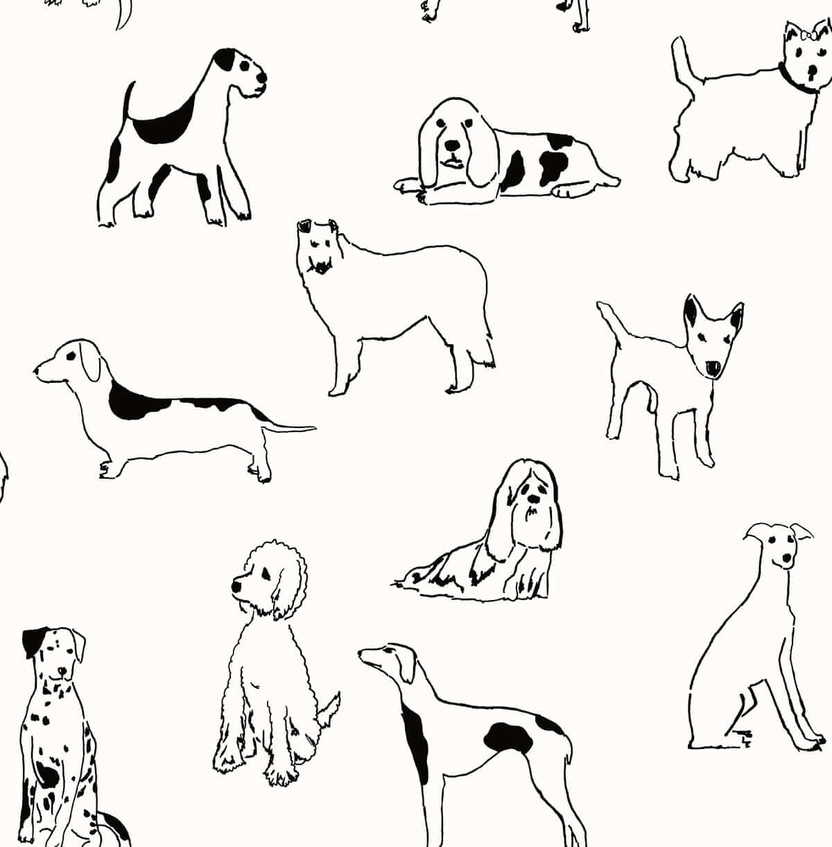 Stacy Garcia Home Best in Show Peel & Stick Wallpaper Sample - Black