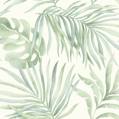 Candice Olson Tranquil Paradise Palm Wallpaper - Light green