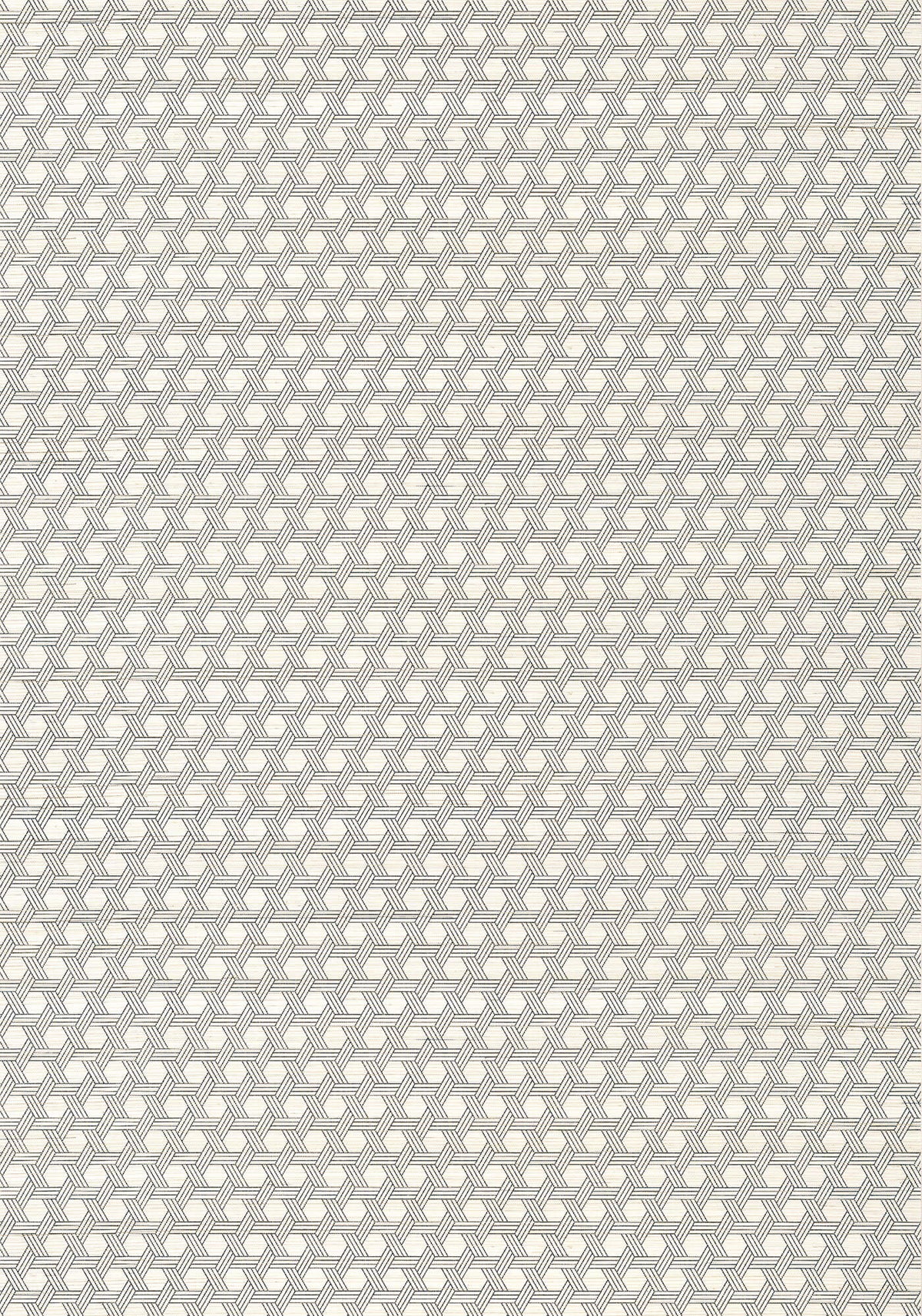 Thibaut Modern Resource 3 Pergola Wallpaper - Black